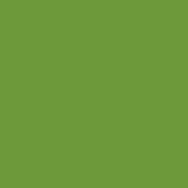 woodland_fern_3 - Vzorník barev DULUX